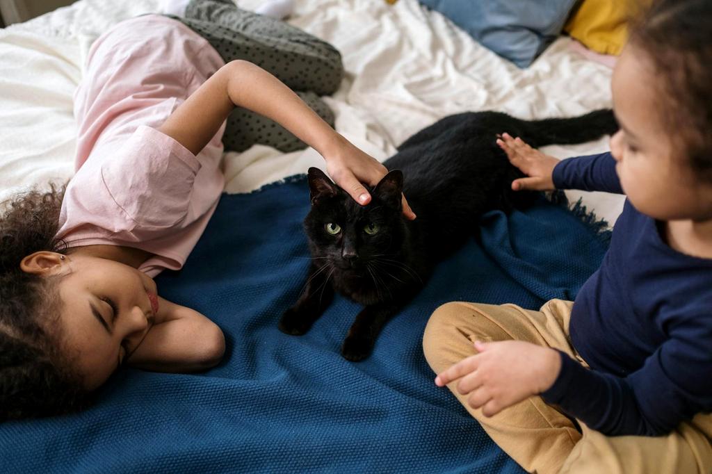 Interactive Cat Toy